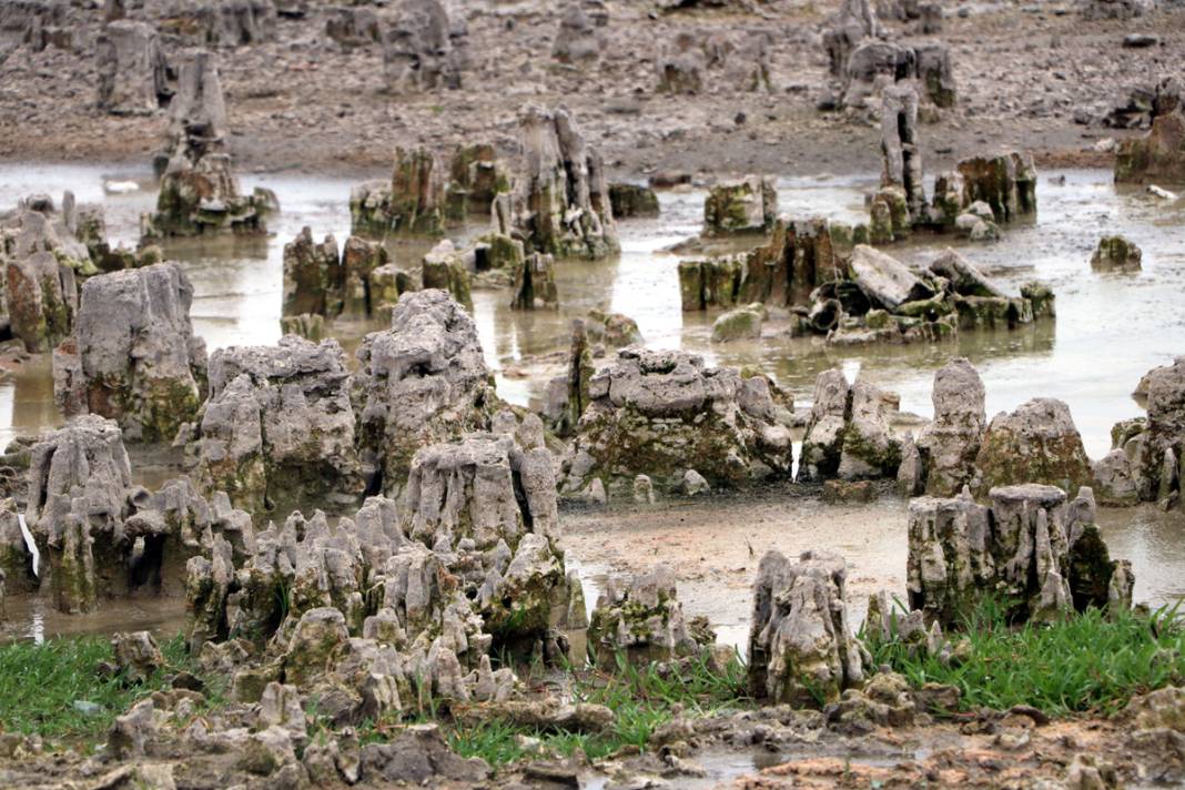 Van Gölü Havzası'nda kuraklık alarmı: Bendimahi Çayı ilk kez... 6